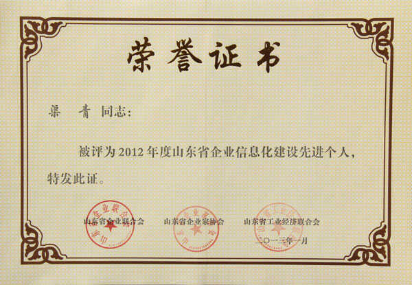 山东中煤集团董事长渠青荣获2012年山东省企业信息化建设先进个人